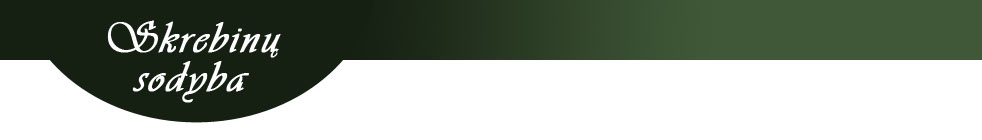 header1